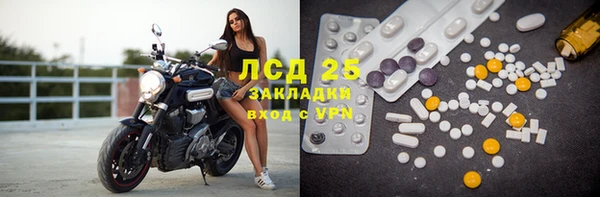 PSILOCYBIN Белокуриха