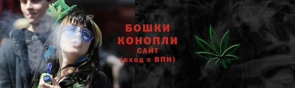 PSILOCYBIN Белокуриха