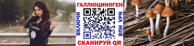 Псилоцибиновые грибы GOLDEN TEACHER  OMG   Облучье 